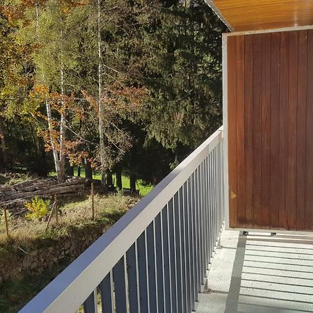 La Baleine Blanche - Chambres Campan Eksteriør bilde